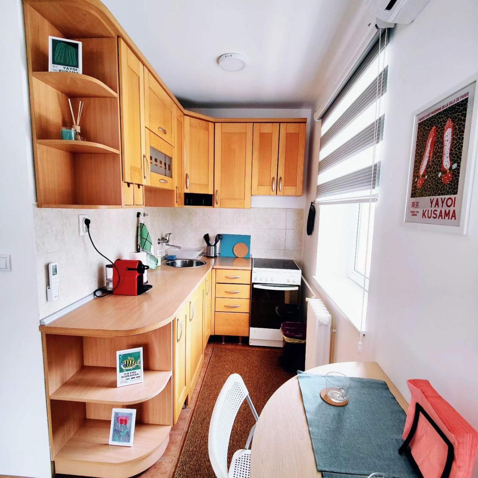Wicker Park Apartment Новий Сад Екстер'єр фото